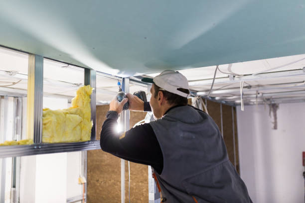 Professional Insulation Contractor in Lodi, WI